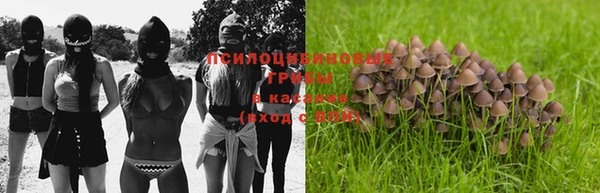 ALPHA-PVP Михайловск