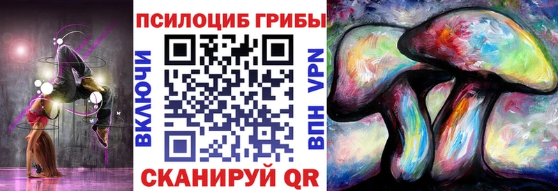 Галлюциногенные грибы Psilocybe  Купить закладки  Кисловодск 